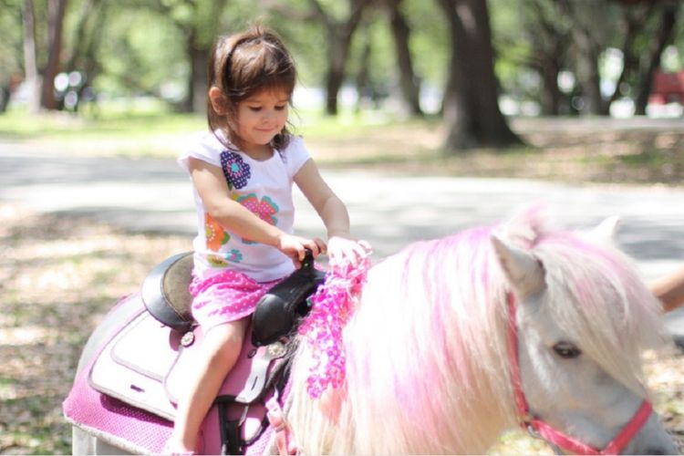 Seorang anak kecil sedang menunggang kuda poni di Pipo Pony Club, Pattaya, Thailand.