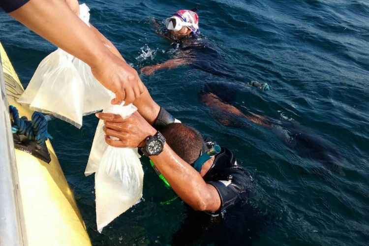 Pelepasliaran 30.600 bibit lobster di kawasan wisata konservasi Bangsring Under Water Banyuwangi Jumat (2/6/2017)