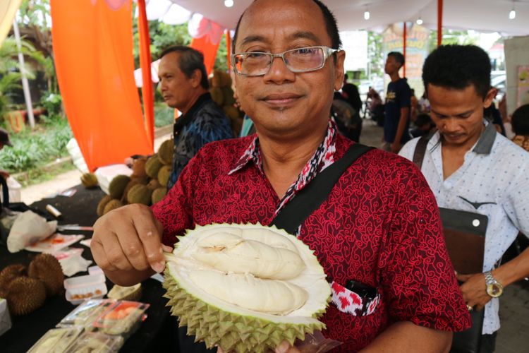 Salah satu penggemar durian si susu dalam acara Festival Wisata Durian, Minggu (25/11/2017).