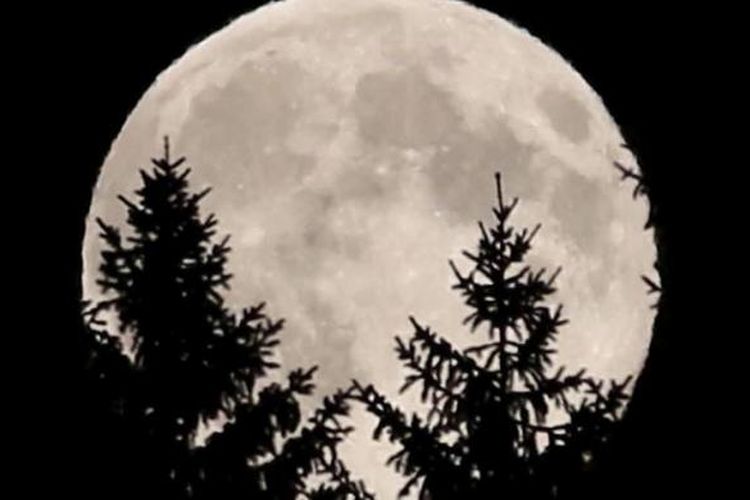 Supermoon terlihat di Austria, 10 Agustus 2014. Supermoon disebut para ilmuwan sebagai bulan perigee, terjadi saat bulan berada di dekat cakrawala dan tampak lebih besar dan lebih terang dari bulan purnama lainnya.