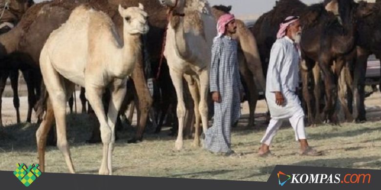 Qatar Kecam Arab Saudi karena Tolak Negosiasi