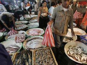 Tips ke Muara Karang 