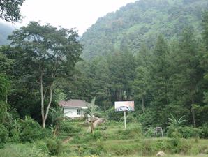 Tak Nemu Sawah, Wawancara Akhirnya di Taman