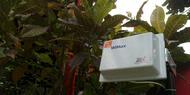 Sitra Wimax "Payungi" Jabodetabek dalam 4 Tahun