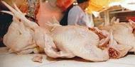 Harga Daging Ayam Mulai Turun