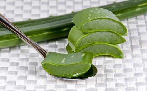 Benefits of Aloe Vera for Burns