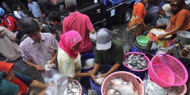 Harga Ikan Masih Tinggi Akibat Nelayan Belum Melaut  