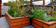 8 Type of Record ... Useful Plants at Home! 0149076t 8 Type of Record ... Useful Plants at Home!