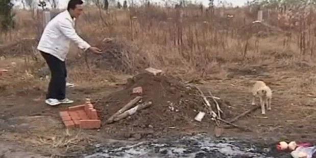 Video Kisah Anjing Setia Penunggu Makam Tuannya
