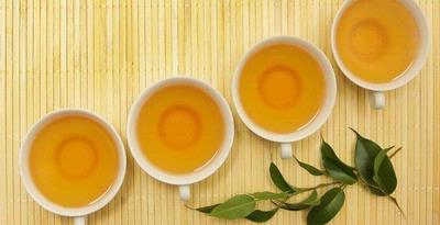 Konsumsi teh hijau yang dikombinasikan dengan latihan rutin membantu menstimulasi penurunan kadar lemak tubuh 
