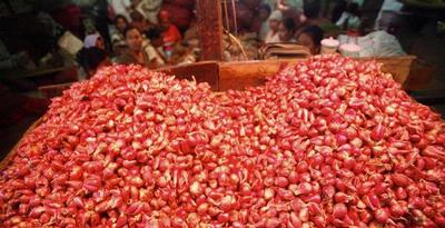 Petani Bawang Merah Menjerit Terdesak Impor