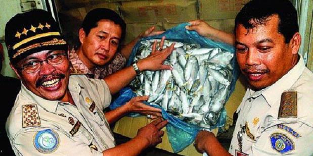 Video Pemulangan 103 Ton Ikan Import malaysia 2012