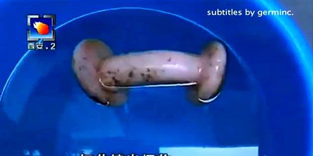 Alat Bantu Seksual Dikira Jamur
