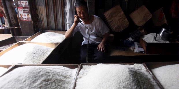 Presiden: 2014, Surplus Beras 10 Juta Ton Presiden: 2014, Surplus Beras 10 Juta Ton