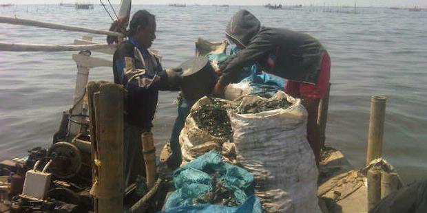 Jerit Nelayan Muara Angke Terbunuh Limbah