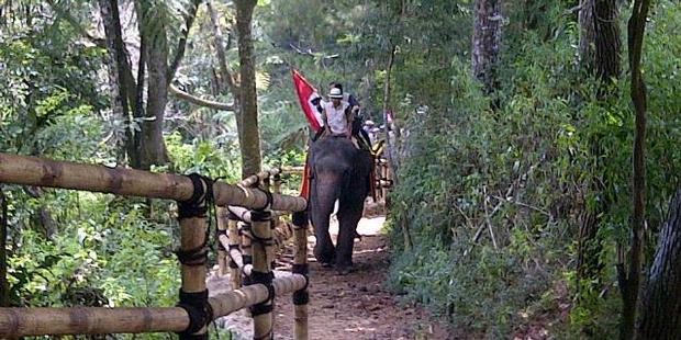 Inilah Jawaban Manajemen Taman Safari