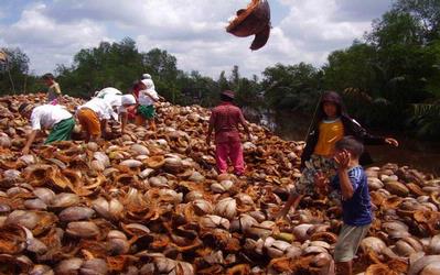 sabut kelapa