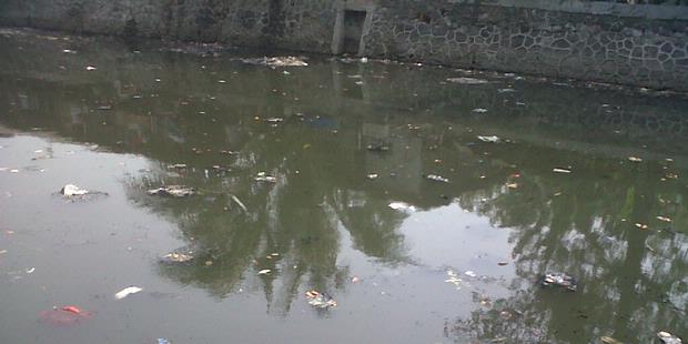 Bertahan Hidup di Kali Sunter yang Tercemar