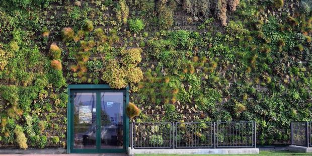 Italia Miliki Taman Vertikal Terbesar di Dunia