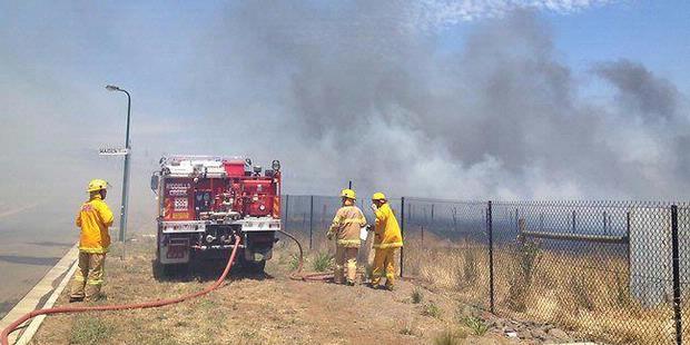 Sudah 55.000 Hektar Hutan Australia Terbakar