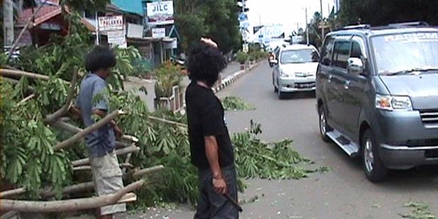 Angin Kencang, Pohon Tumbang, Rumah Rata 