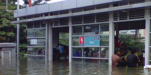 Wali Kota Jakut: Tak Ada Buaya Lepas di Banjir Pluit