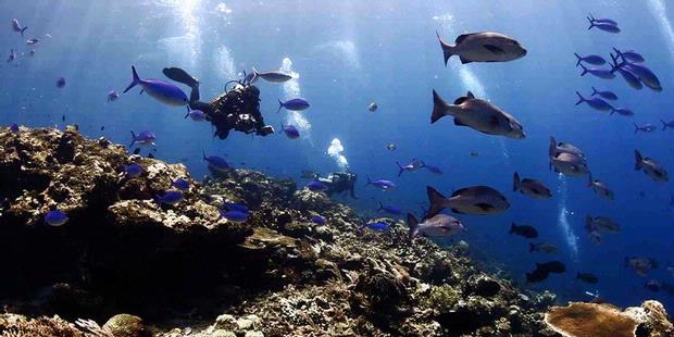 Tempat Wisata Bawah Laut Indonesia - MizTia Respect