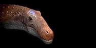 Ampelosaurus, Dinosaurus Terbesar Berotak Udang