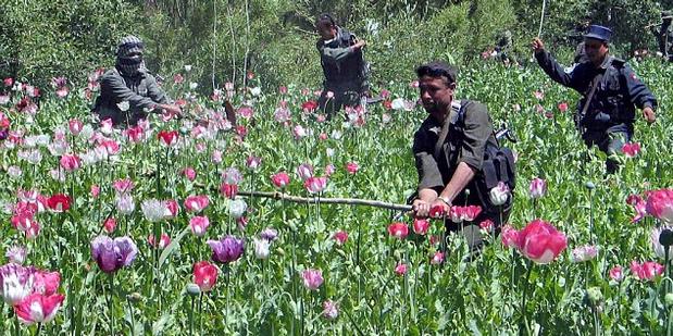 Petani Afganistan Dipenggal karena Tak Bayar Utang