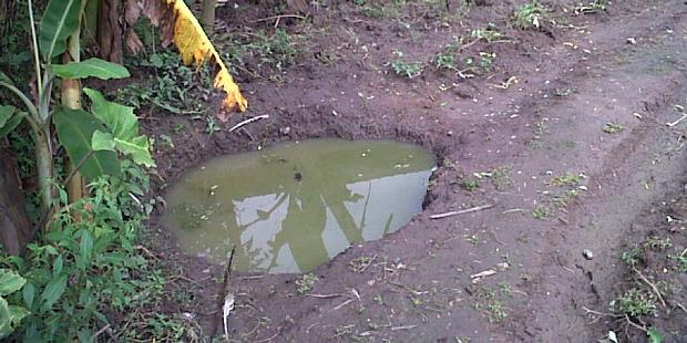 Kejar Angsa, Balita Tewas Tenggelam di Kubangan