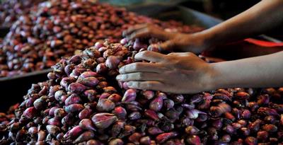 Pasokan Bawang Berkurang, Harga Terus Melambung 