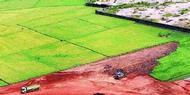 Duh, Tiap Tahun Lahan Pertanian di Jateng Susut 350-400 Ha