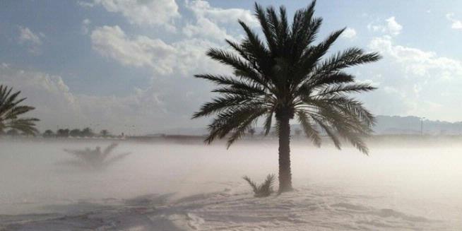 Hujan Salju dan Banjir Terjang Arab Saudi