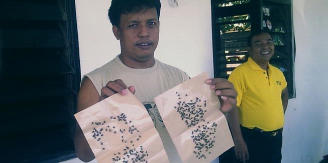 Permukiman di Kolaka Diserbu Lalat