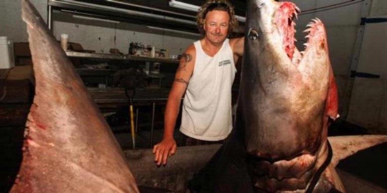 Penangkapan Hiu Mako Raksasa di California Picu Kontroversi