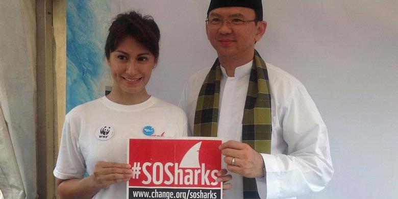 Pemprov DKI Bakal Larang Penjualan Sirip Hiu di Restoran