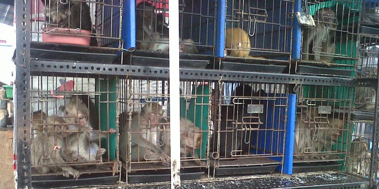 0630537IMG 20131024 00138780x390