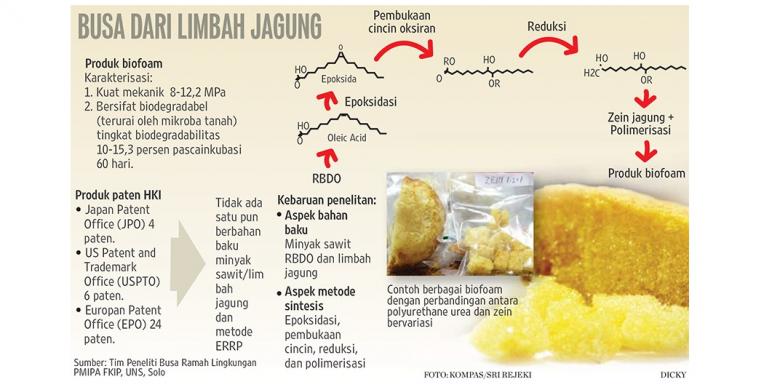 Gambar Limbah Tanaman Jagung Sebagai Pakan Alternatif Kebunbudidaya ...