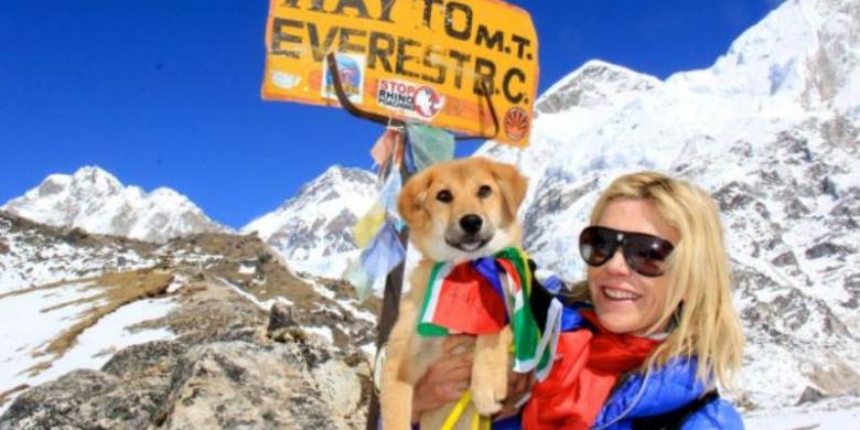 Rupee, Anjing Pertama yang Mendaki Gunung Everest Rupee, Anjing Pertama yang Mendaki Gunung Everest