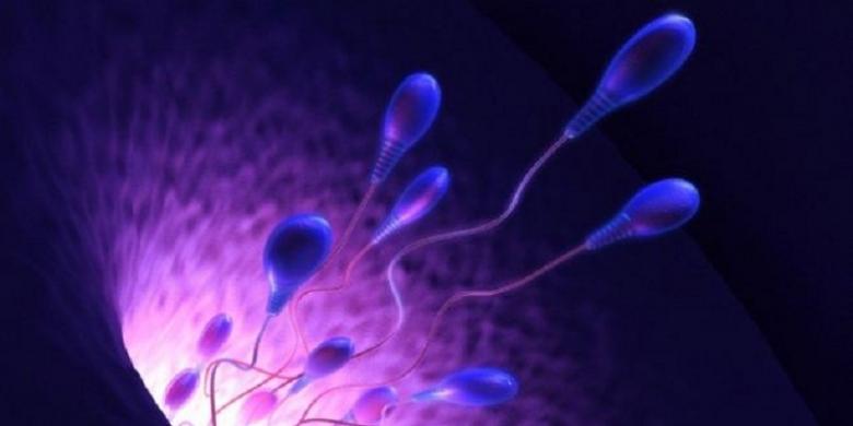 http://asalasah.blogspot.com/2013/12/ilmuwan-mau-bikin-robot-bertenaga-sperma.html