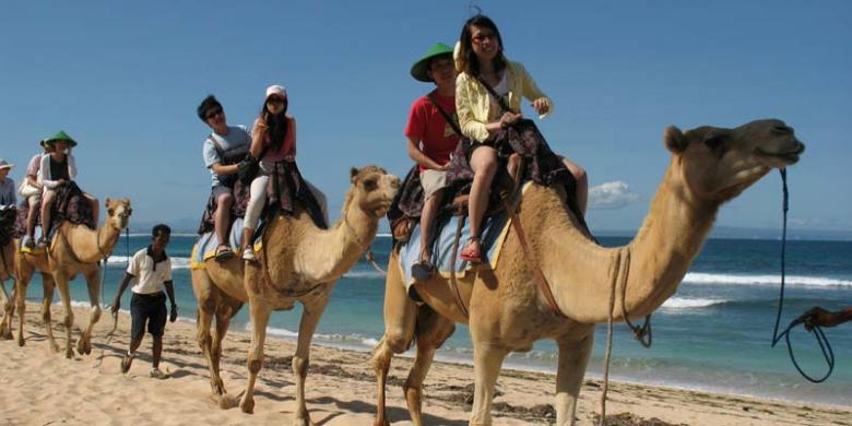 Turis naik unta di pantai kawasan Nusa Dua, Bali.