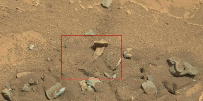 Obyek dalam Foto Ini, Benarkah Tulang Manusia di Mars?