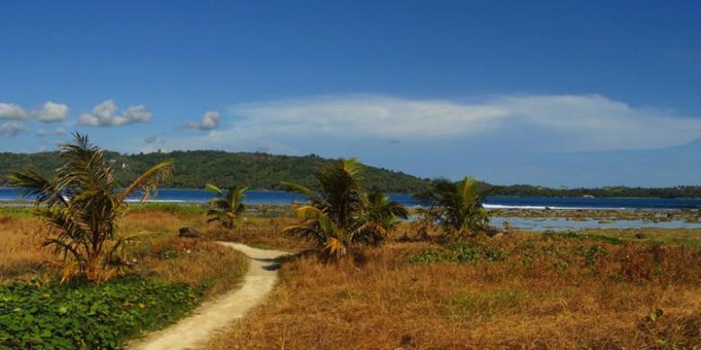 Pantai Lagundri Masuk 10 Lokasi quot;Surfingquot; Terbaik di Dunia Kompas