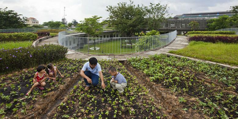 Dalam rangka menjaga dan menjalin hubungan yang lebih dalam dengan lingkungan alam, TK Pertanian memiliki konsep sebagai gedung hijau yang berkelanjutan, menyediakan makanan dan pengalaman pertanian untuk anak-anak, serta taman bermain yang luas.