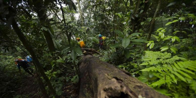 Pendaki berada di puncak 2 Gunung Parang di Desa Pasanggrahan, Kecamatan Tegalwaru, Purwakarta, Jawa Barat, Jumat (27/2/2015). Pendakian menuju puncak dapat ditempuh selama 2 jam dari titik awal di Desa Pasanggrahan. KOMPAS.com / FIKRIA HIDAYAT