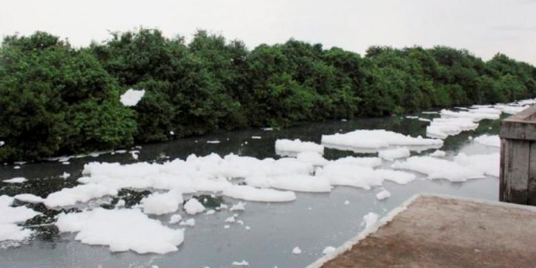 1440067sungai berbusa780x390