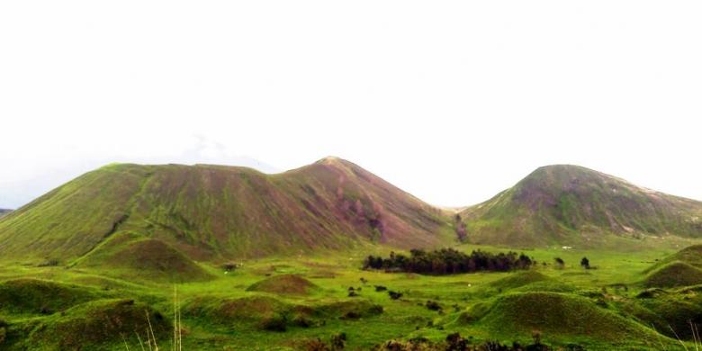 Memanjakan Mata dengan Hamparan Hijau Kawah Wurung Bondowoso