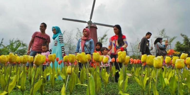 TRIBUN JATENG/MAMDUKH ADI PRIYANTO
Miniatur kincir angin Belanda dan bunga tulipnya di Small World Baturraden, Jalan Raya Ketenger, Desa Ketenger, Kecamatan Baturraden, Kabupaten Banyumas, Jawa Tengah.