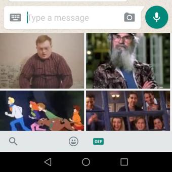 WhatsApp turut menyediakan fitur pencarian file GIF yang bisa diakses dengan cara yang sama seperti memilih emoji.