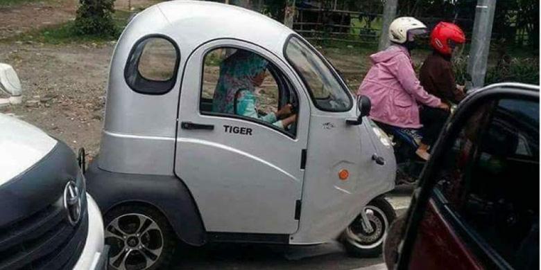 1556037tiger780x390